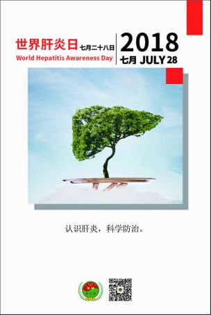 7 月 28 日 为 世界肝炎日，第一届世界肝炎认知日宣传活动定于 2004 年 10 月 1 日在 比利时 布鲁塞尔 举行，其主题是 “ 与你同行 (YouHaveCompany)” ，主要目的是向公众、医务界、政府人员宣传有关丙型肝炎的预防、筛查和治疗知识。 酷暑高温，炙热难耐，吹空调、大排档、冰啤酒……是多数人选择的常规度夏模式。但大快朵颐之后，小心肝病“找上门”！ 研究发现：肝脏发病有一